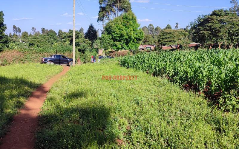 Prime 50 By 100ft Residential Plot In Thogoto