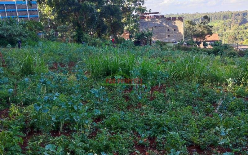 Prime 50 By 100ft Commercial Plot For Sale In Thogoto.