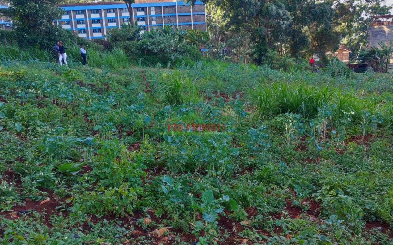 Prime 50 By 100ft Commercial Plot For Sale In Thogoto.