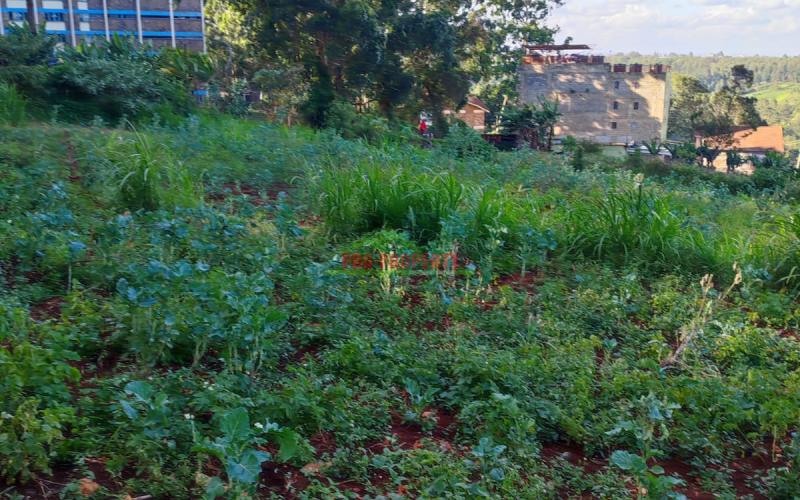 Prime 50 By 100ft Commercial Plot For Sale In Thogoto.