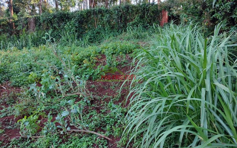 Prime 50 by 100ft Commercial Plot for sale in Thogoto.