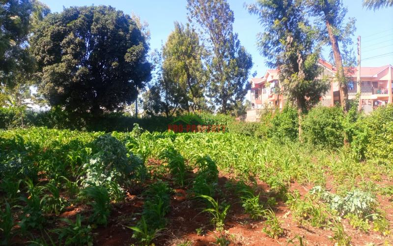 Commercial Land For Sale In Thogoto Kikuyu Town