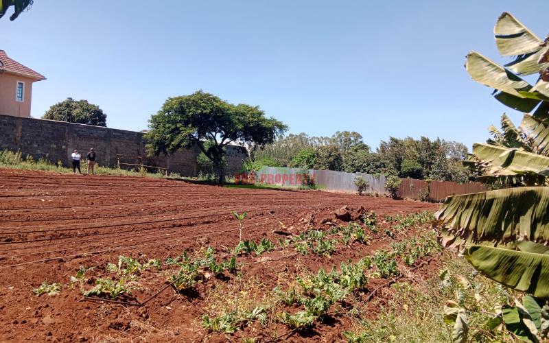 Investing in Townhouses