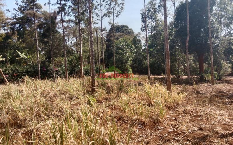 Prime Plot For Sale In Kikuyu 3.5km From Kikuyu Township
