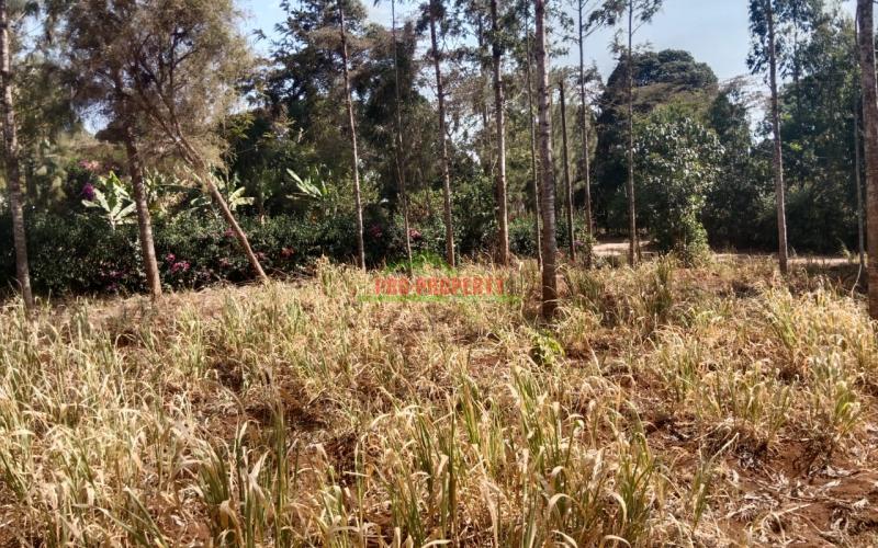 Prime Plot For Sale In Kikuyu 3.5km From Kikuyu Township