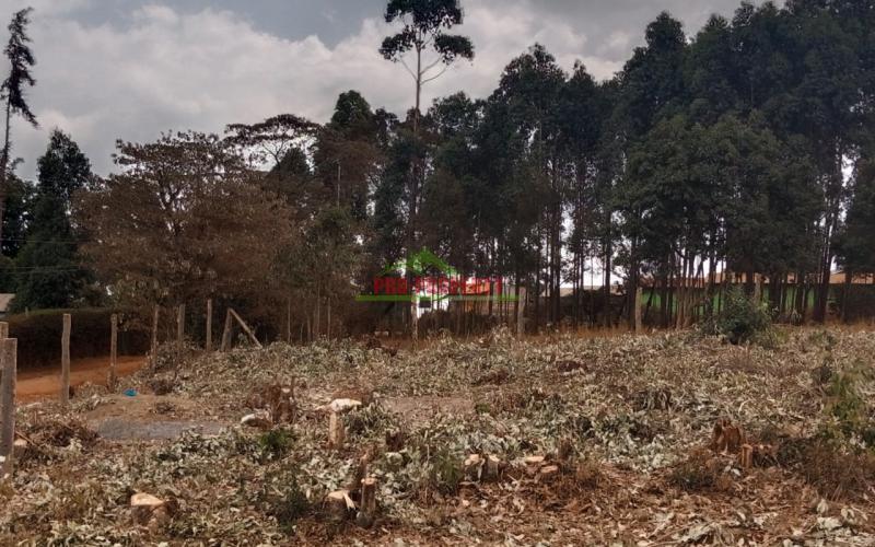 Prime Residential Plots For Sale In Kikuyu Gikambura