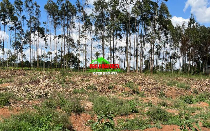Residential Land For Sale In Gikambura, Kikuyu.