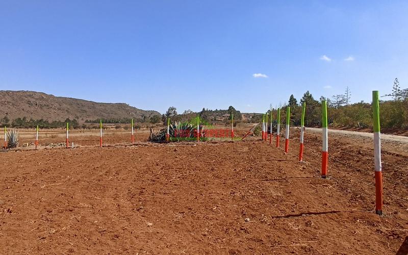 Prime Plots At Kikuyu - Kamangu-nachu (plains View)