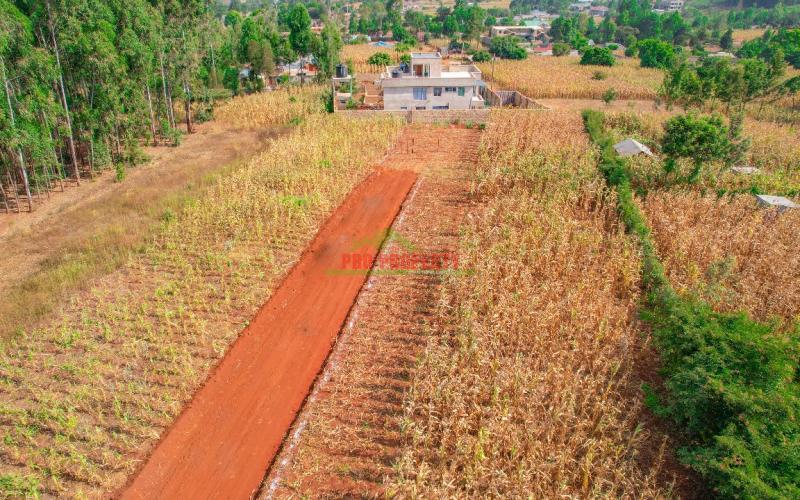 Prime Residential Plots For Sale In Kikuyu -karai-migumoini