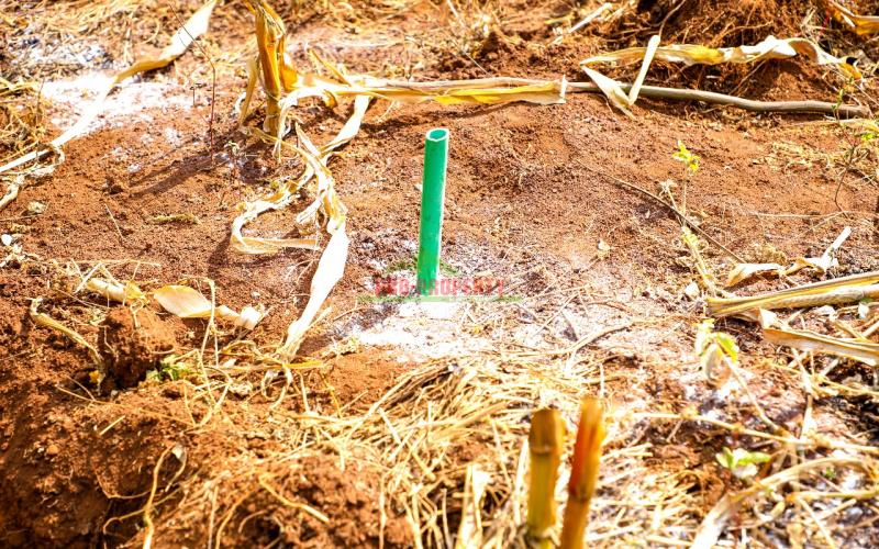 Prime residential plots for sale in Kikuyu -migumoini