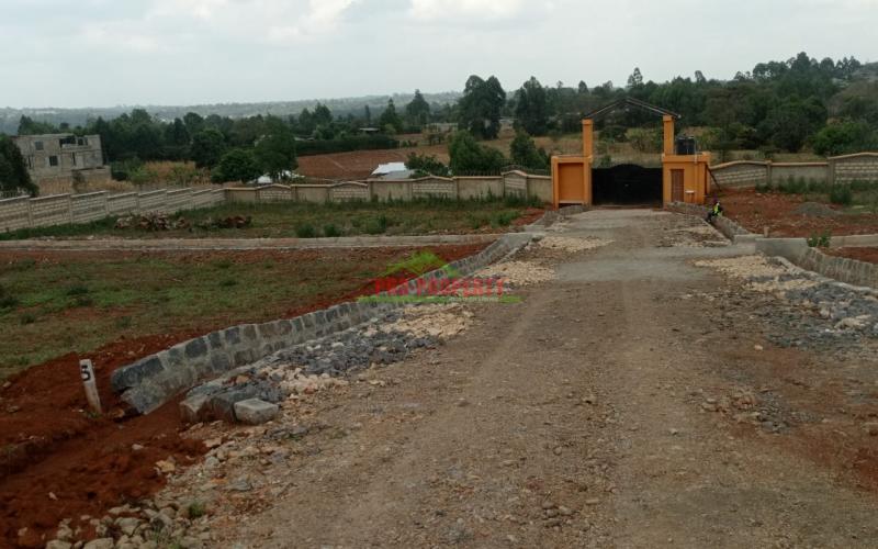 Prime Plots In Kikuyu Lusigetti
