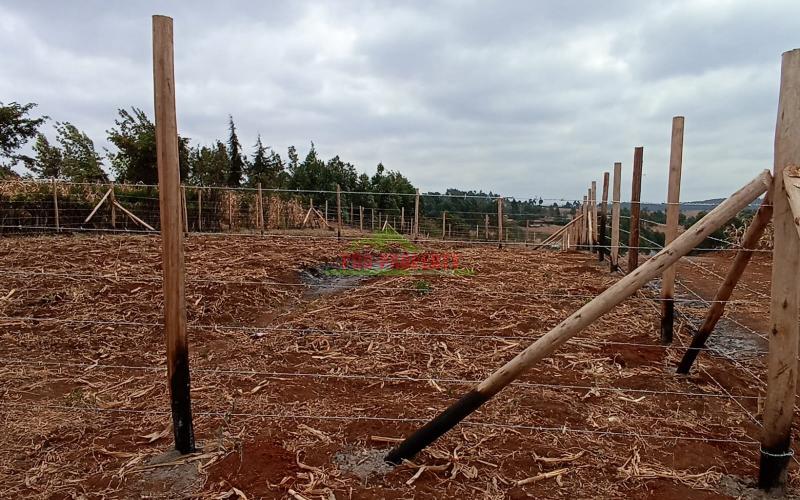 Prime Residential Plots For Sale In Kikuyu Migumoini