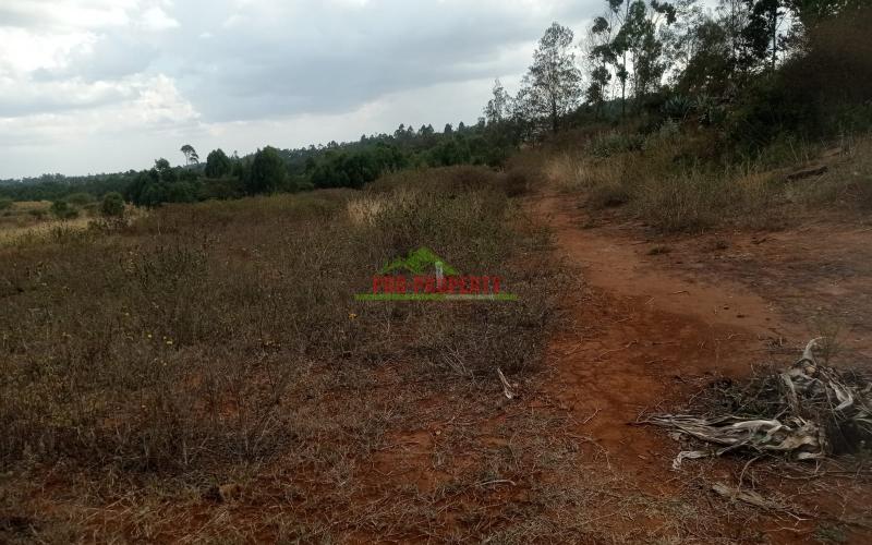 Prime Property In Kamangu Lusigetti