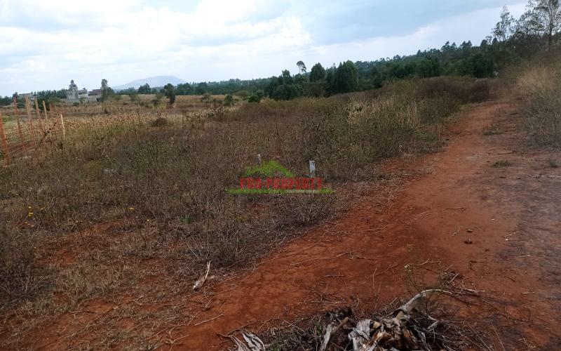 Prime Property In Kamangu Lusigetti