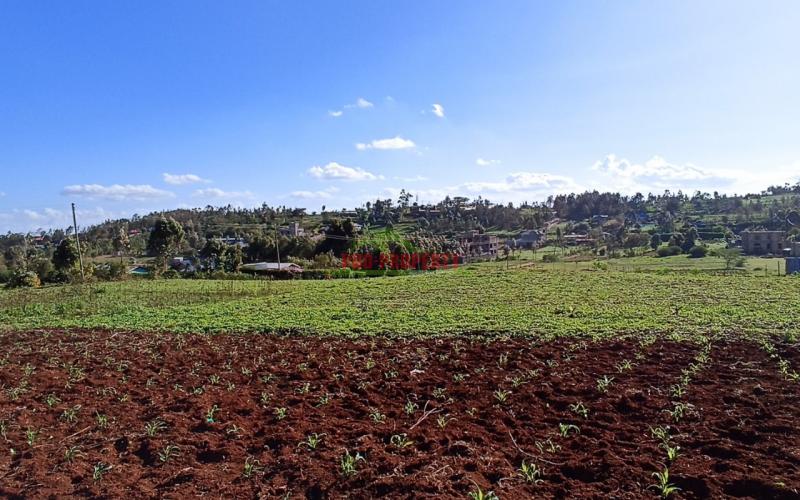 Prime Residential Plots For Sale In Kikuyu Kamangu Green View 1 Estate