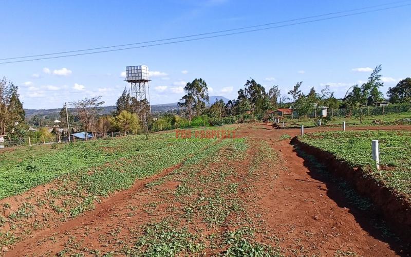 Prime Residential plots For Sale in Kikuyu Kamangu Green view 1 estate