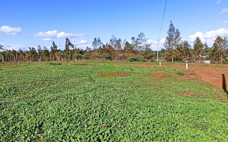 Prime Residential Plots For Sale In Kikuyu,kamangu