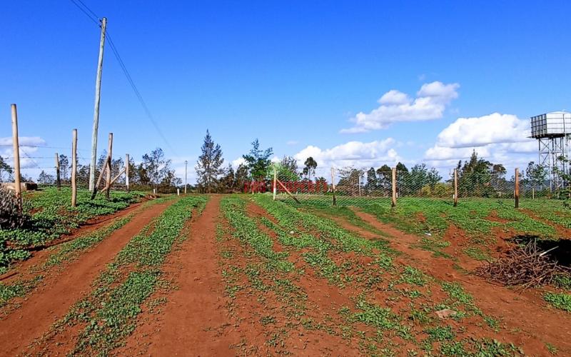 Prime Residential Plots In Kikuyu Kamangu