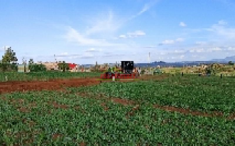 Prime Residential Plot In Kikuyu Kamangu