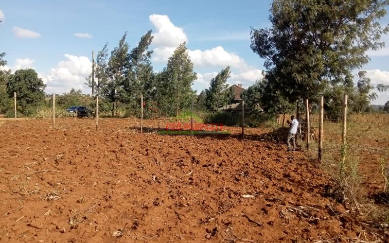 Prime Plots For Sale In Kamangu Migumoini