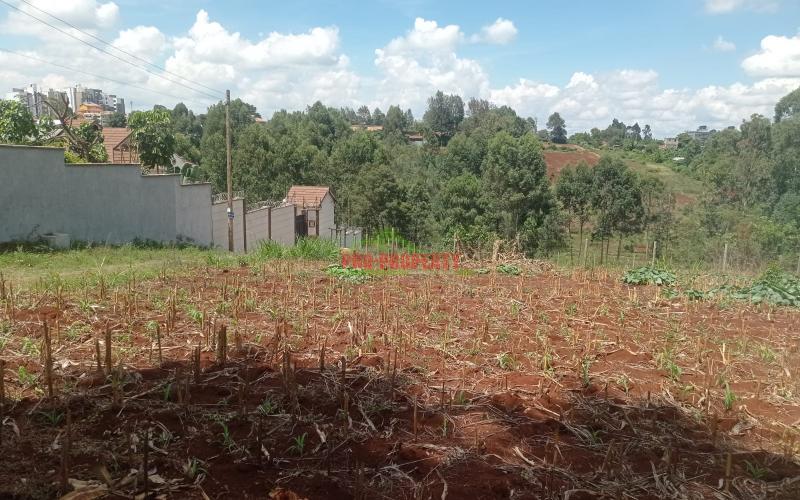 Prime 100*100 Plot At Lower Kabete