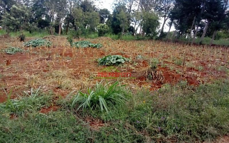 Prime Residential Plots For Sale In Lower Kabete