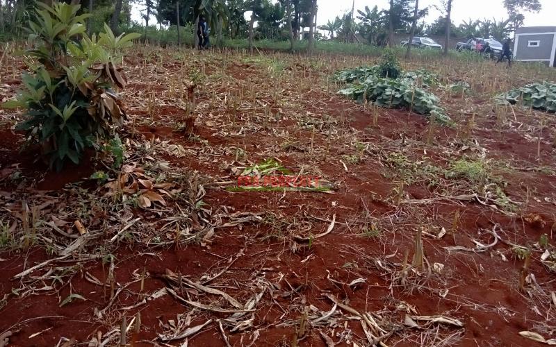 Prime Residential Plots For Sale In Lower Kabete