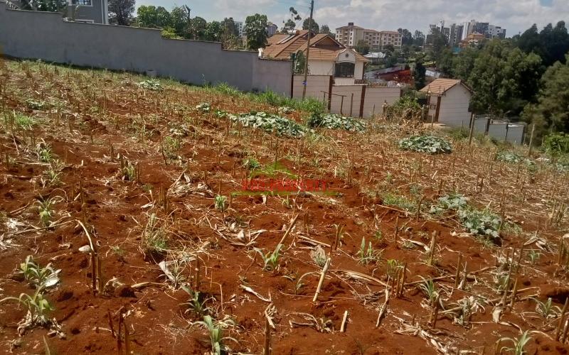 Prime Residential Plots For Sale In Lower Kabete