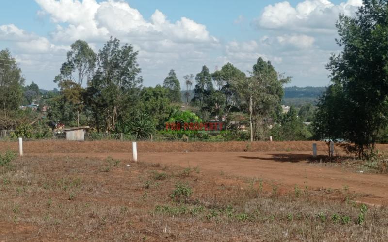 Prime 50*100 Plots In Kikuyu Kamangu