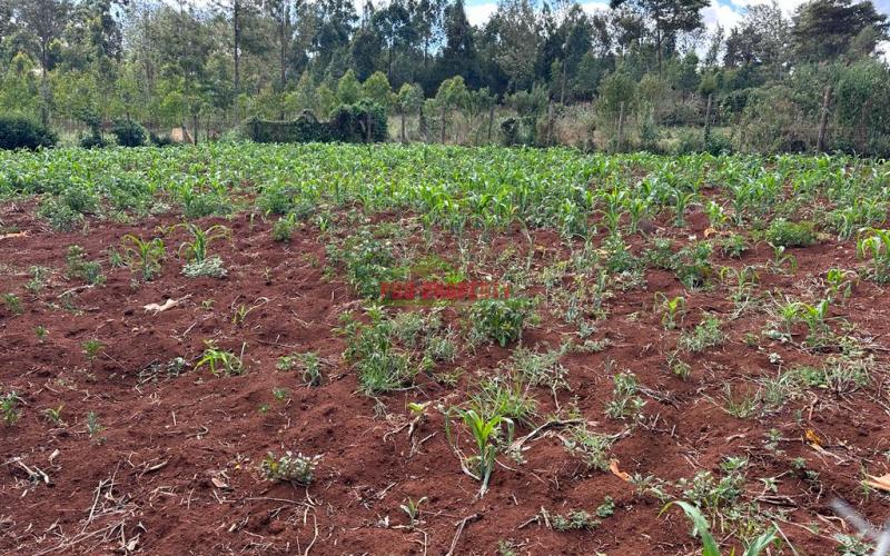 Residential Plot For Sale In Kikuyu, Ondiri