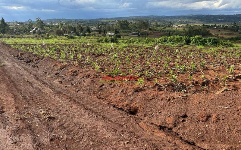 Residential Plots For Sale In Kikuyu, Gikambura.