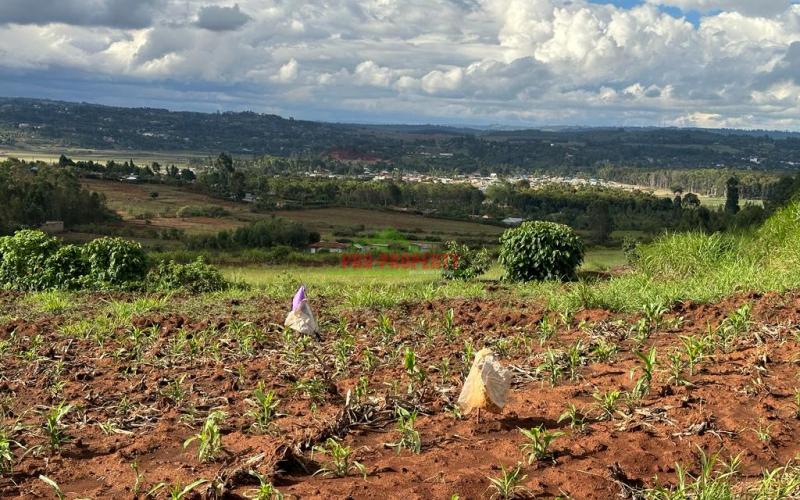 Residential Plots For Sale In Kikuyu, Gikambura.