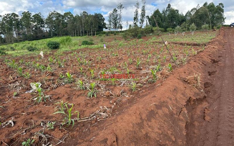 Residential Plots For Sale In Kikuyu, Gikambura.