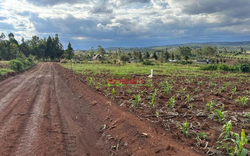 Residential Plots For Sale In Kikuyu, Gikambura.