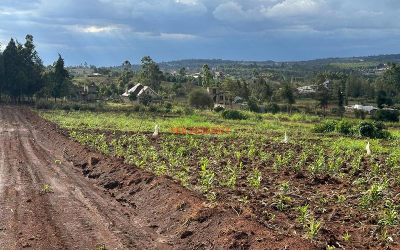 Residential Plots For Sale In Kikuyu, Gikambura.