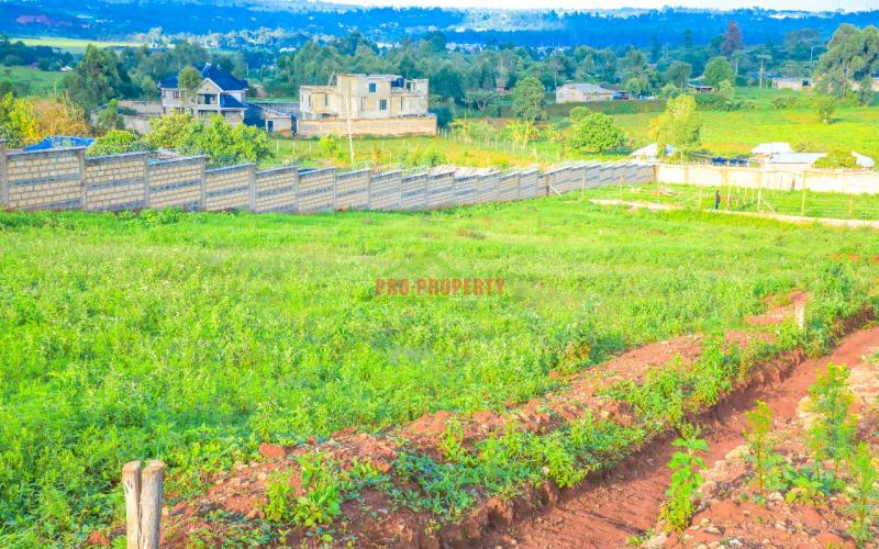 Prime Residential Plots For Sale In Kikuyu,lusingetti.