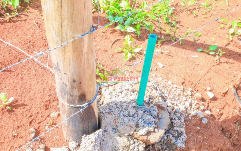 Prime 50 By100 Residential Plots For Sale In Kikuyu, Karai-migumoini.