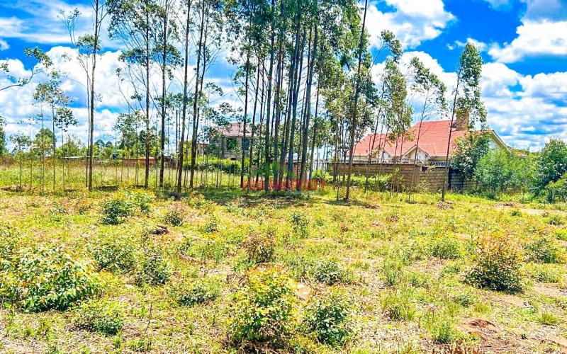 Prime Plots For Sale In Gikambura Kikuyu