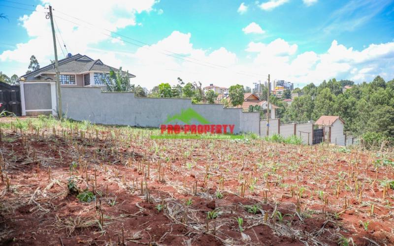 First Class 50 By 100ft Plots For Sale In Lower Kabete