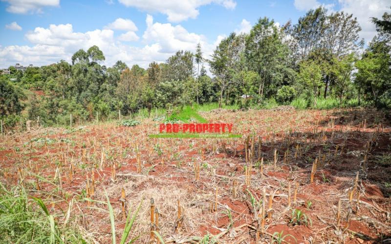 First Class 50 By 100ft Plots For Sale In Lower Kabete