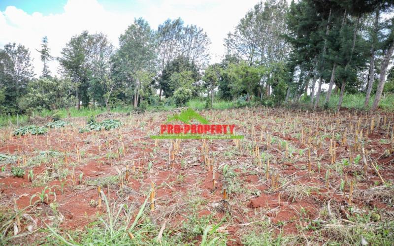 A1 100 By 100ft  Plots For Sale In Lower Kabete