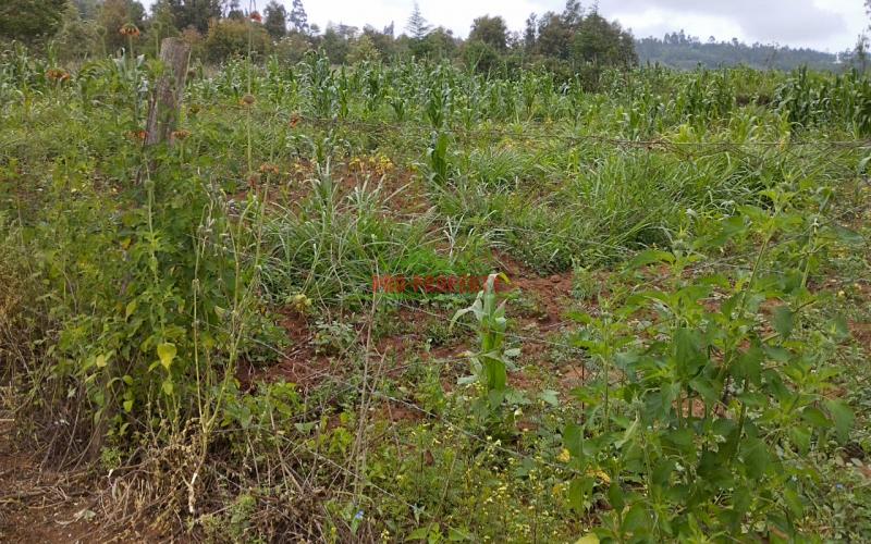 Prime 100 By 100 Residential Plots For Sale In Kikuyu Kamangu.