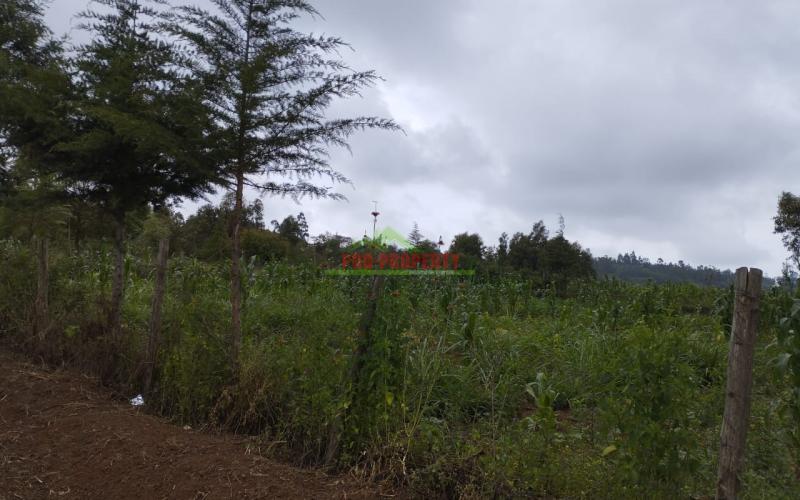 Prime 100 By 100 Residential Plots For Sale In Kikuyu Kamangu.