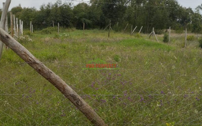 Luxurious 50 By 100 Residential Plots For Sale In Lusigetti Kikuyu.