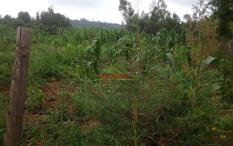 Prime 100 By 100 Plot In Kikuyu,kamangu