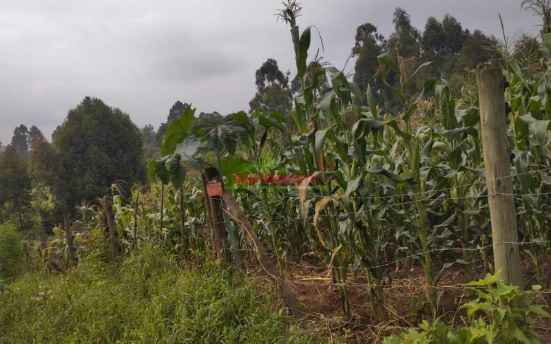 Prime 50 By 100 Residential Plots For Sale In Kikuyu Along Southern Bypass.