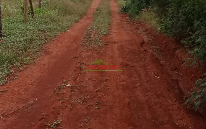 50 By 100 Residential Plots For Sale In Kikuyu Kamangu Ngambaa.