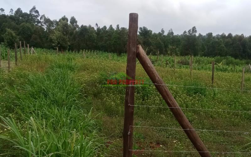 50 By 100 Residential Plots For Sale In Kikuyu Kamangu Ngambaa.