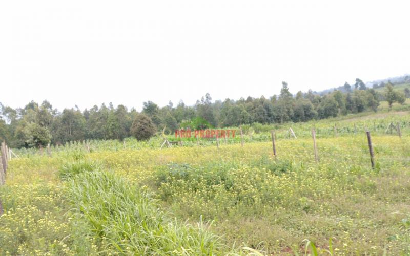 50 By 100 Residential Plots For Sale In Kikuyu Kamangu Ngambaa.