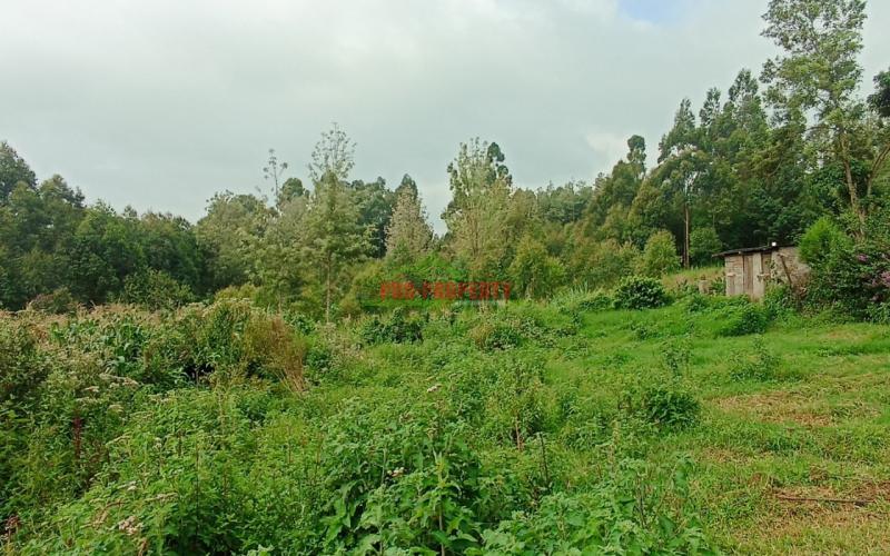 Prime 50 By 100ft Plots For Sale In Ondiri, Kikuyu